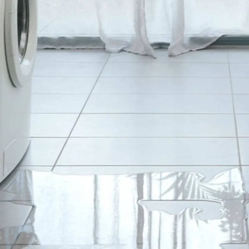 Appliance Leak Cleanup in Cheviot, OH