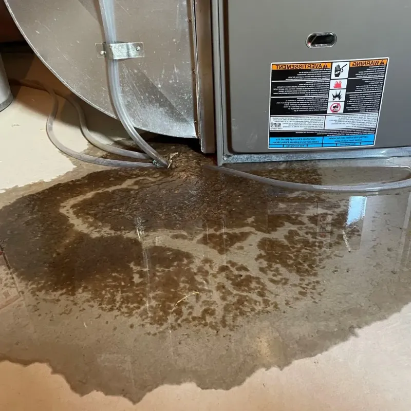 Pipe Burst and Leak Restoration in Cheviot, OH